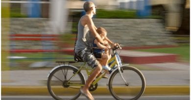 caracteristicas padres cubanos