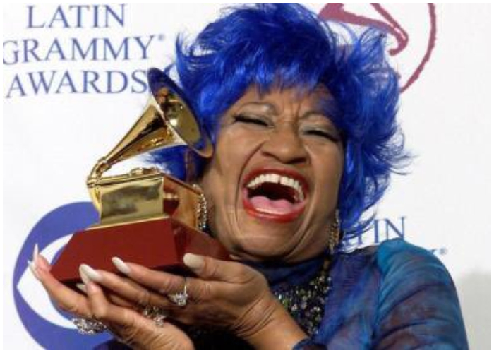 Celia Cruz logró conseguir importantes reconocimientos por su destacado desempeño artístico.