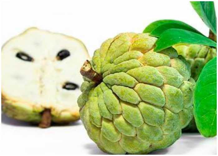 Anon Fruta