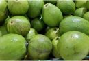 FRUTAS CUBANAS LA GUAYABA