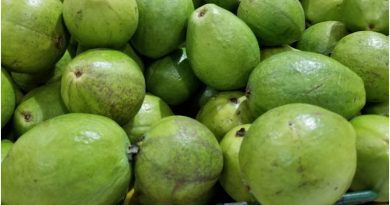 FRUTAS CUBANAS LA GUAYABA