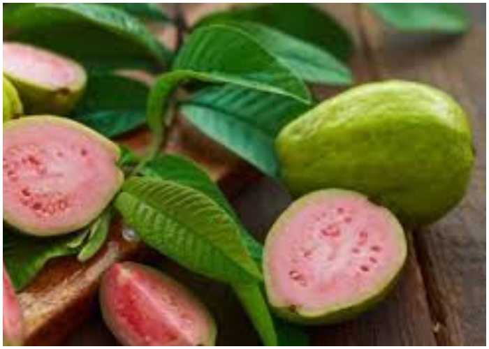 Frutas Cubanas “La Guayaba” Frutas Cubanas “La Guayaba”