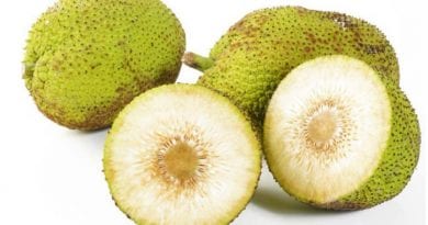 La Fruta del Pan.