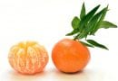 La mandarina es un fruto de origen asiático, abundante actualmente en las zonas tropicales de América.