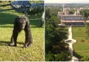 finca monos zoologico cuba