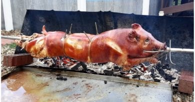 Lechon asado - FOTO