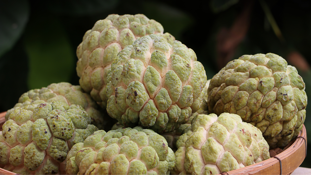 Frutas cubanas Las 13 más populares y deliciosas de la Isla