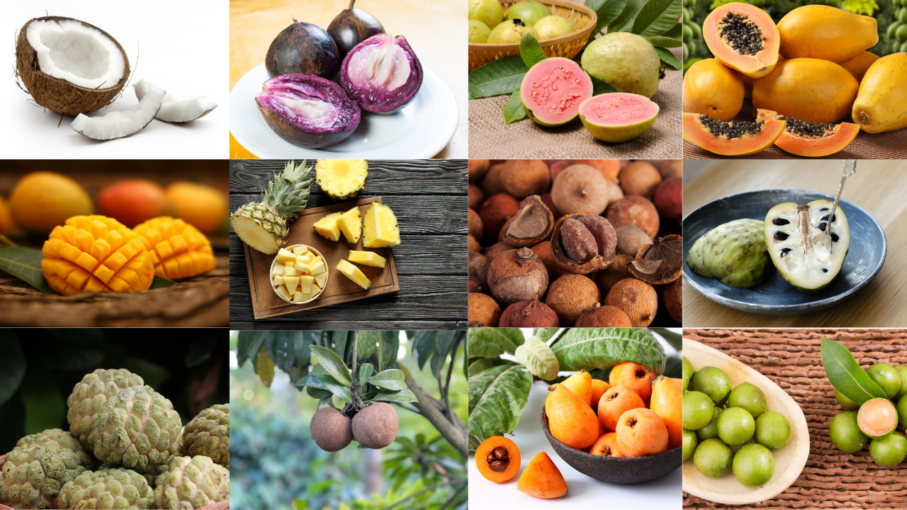 Frutas cubanas: Las 13 más populares y deliciosas de la Isla, image size:1280x720