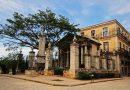 La ceiba del templete y sus tradiciones