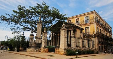 La ceiba del templete y sus tradiciones