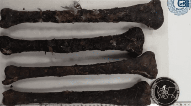 Encuentran huesos humanos en una tienda de santería cubana en Madrid