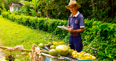 Cuba crea impuesto de 10 % para el comerciante agrícola