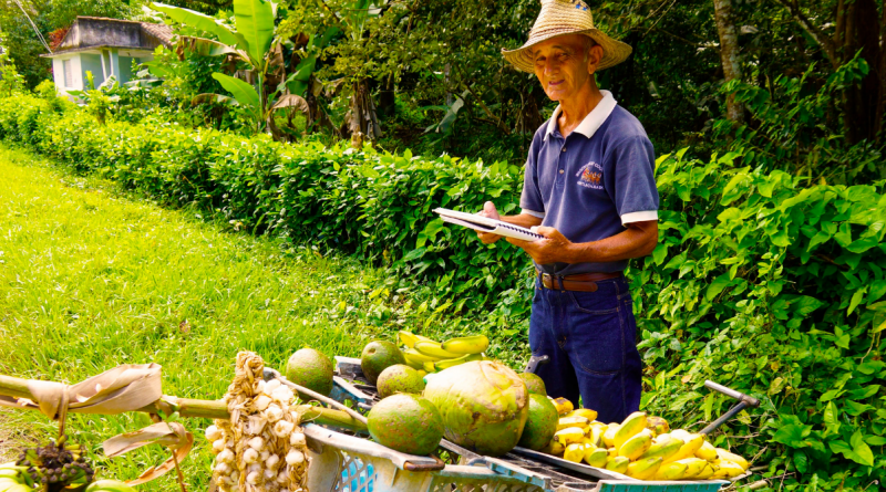 Cuba crea impuesto de 10 % para el comerciante agrícola