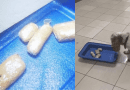 Aduana de Cuba confisca cuatro paquetes de drogas
