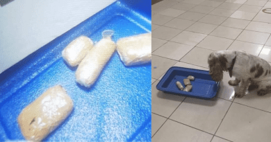 Aduana de Cuba confisca cuatro paquetes de drogas