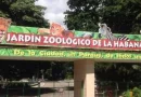Detectan gripe aviar en Zoológico de La Habana