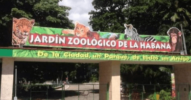 Detectan gripe aviar en Zoológico de La Habana