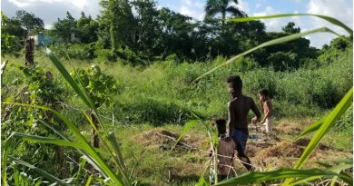 Cuentos escalofriantes campos Cuba