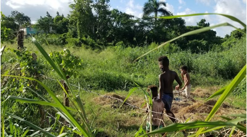Cuentos escalofriantes campos Cuba