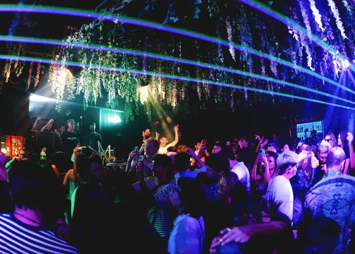 Treehouse Miami
