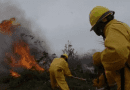 Incendio en Pinar del Río afecta 230 hectareas de bosques