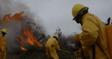 Incendio en Pinar del Río afecta 230 hectareas de bosques