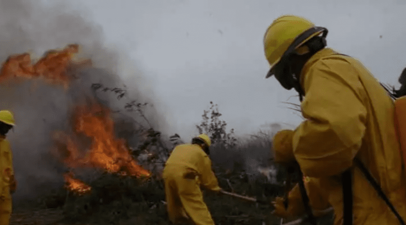 Incendio en Pinar del Río afecta 230 hectareas de bosques