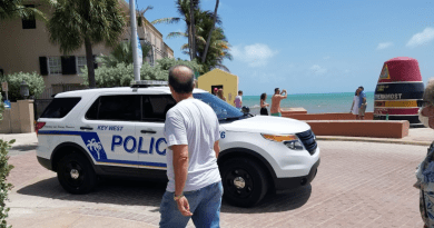 ¿Cuánto tiempo tarda tramitar el parole humanitario en Estados Unidos?