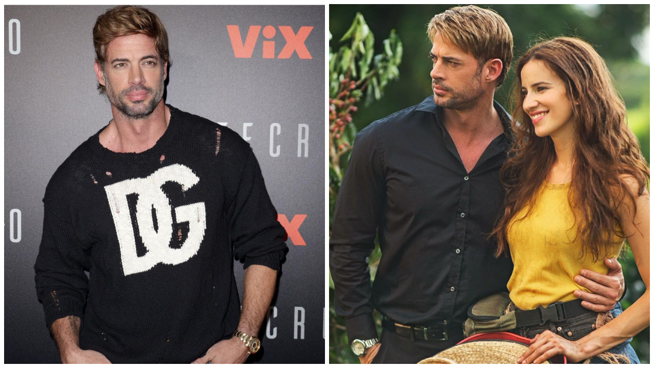 Estas son las telenovelas y series más destacadas de la carrera de