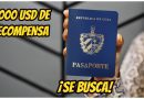 madre cubana pasaportes robados