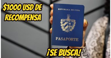 madre cubana pasaportes robados