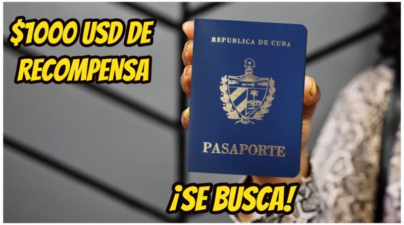 madre cubana pasaportes robados