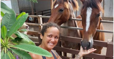 cubana rescata caballos Nicaragua
