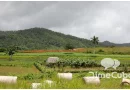 venta tierras Cuba extranjeros