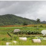 Cuba autoriza venta de tierras a inversionistas extranjeros a $0.34 USD por metro cuadrado