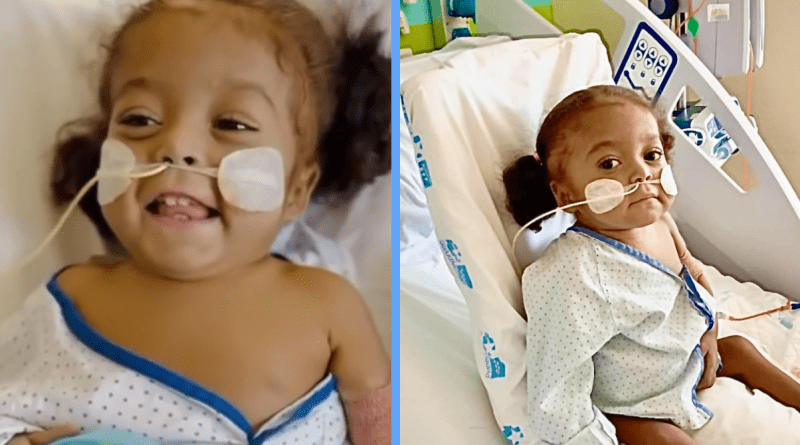 Se recupera bien niña cubana que ecibió un trasplante de hígado