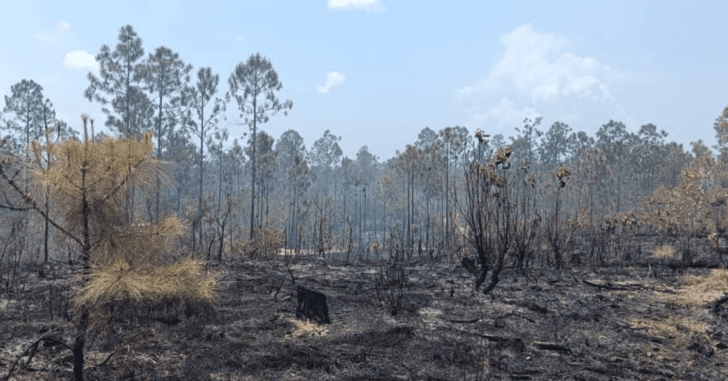  incendio en Pinar del Río