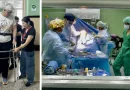 Médicos estadounidenses realizan cirugías para que cubanos reciban prótesis de rodilla y cadera.
