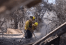 Los incendios forestales en Los Ángeles dejan a famosos sin hogar, destruyendo mansiones de Hollywood.