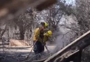 Los incendios forestales en Los Ángeles dejan a famosos sin hogar, destruyendo mansiones de Hollywood.