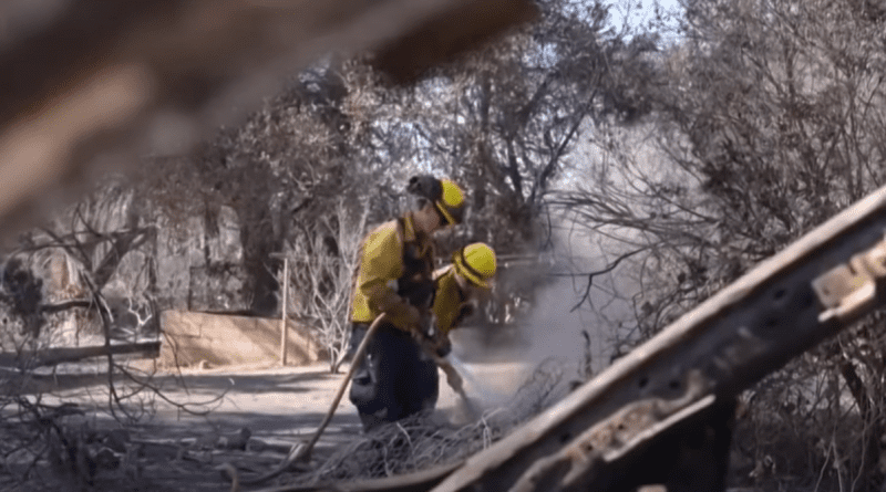 Los incendios forestales en Los Ángeles dejan a famosos sin hogar, destruyendo mansiones de Hollywood.