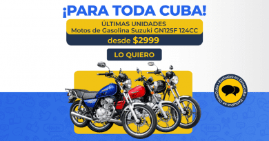 moto suzuki
