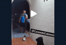 Repartidor cubano de Amazon sorprendido por perro de cerámica