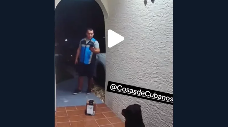 Repartidor cubano de Amazon sorprendido por perro de cerámica