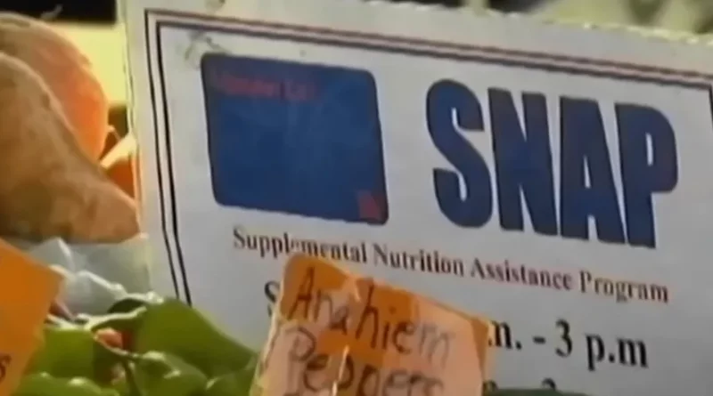 cupones de alimentos SNAP-captura de pantalla-telemundo 31-youtube